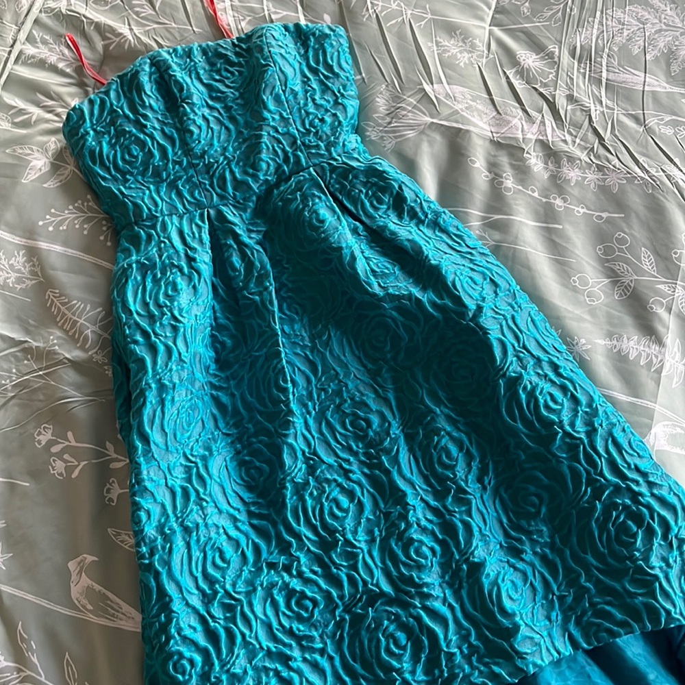 Gorgeous Monique Lhullier Dress